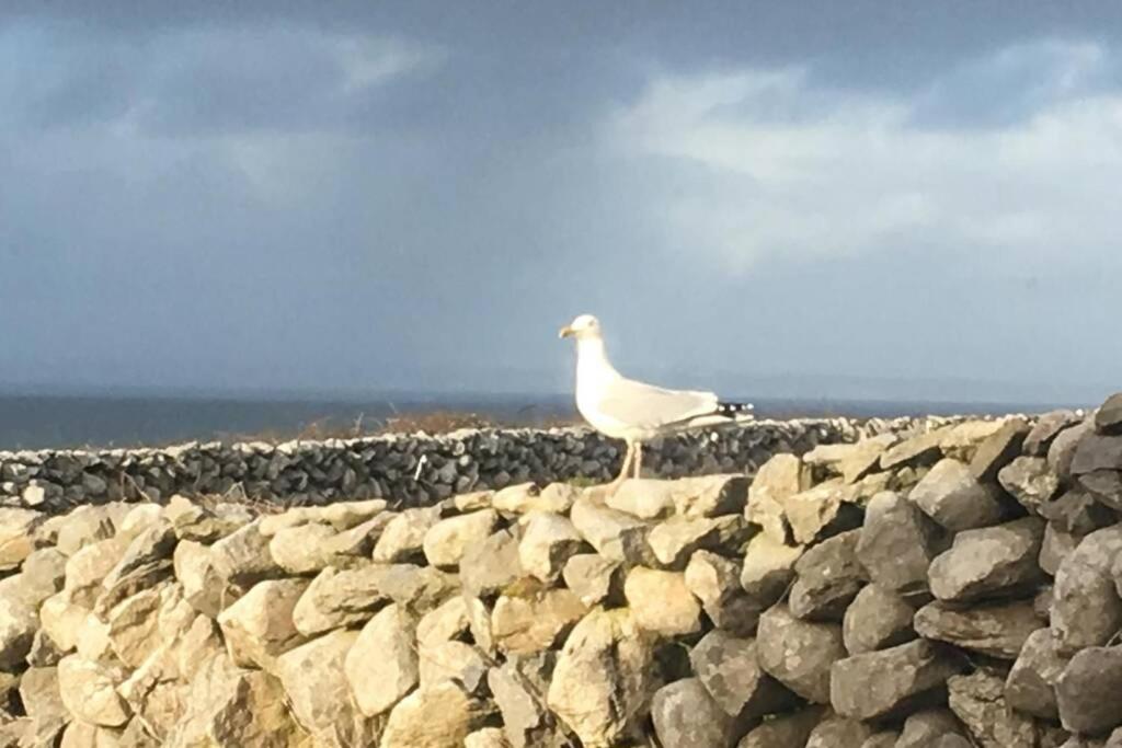 Apartment On Wild Atlantic Way Fanore エクステリア 写真